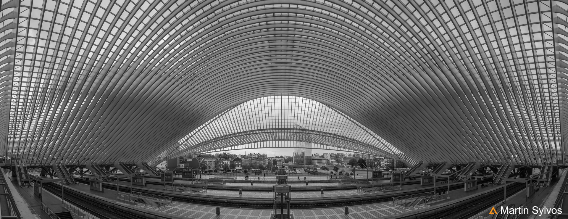 Belgique, Gare de Liège Guillemins par Santiago Calatrava